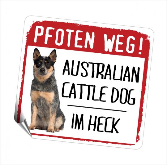 Australian Cattle Dog PFOTEN WEG 