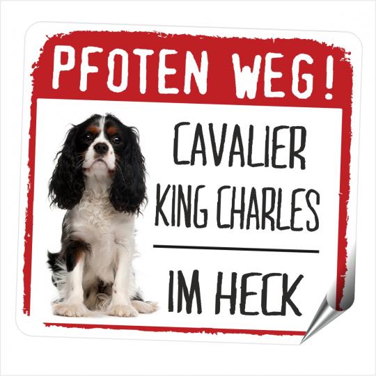Cavalier King Charles Spaniel PFOTEN WEG 