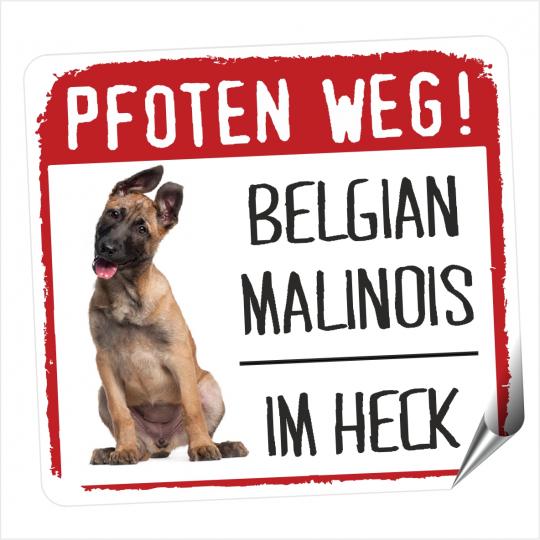 Belgian Malinois PFOTEN WEG 