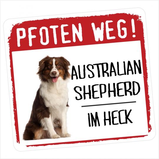 Australian Shepherd 1 PFOTEN WEG 