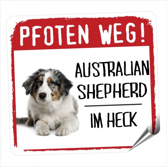 Australian Shepherd 4 PFOTEN WEG 