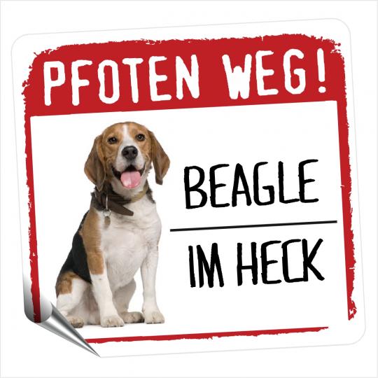 Beagle 2 PFOTEN WEG 