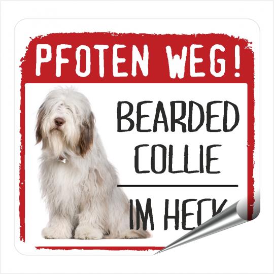 Bearded Collie PFOTEN WEG 