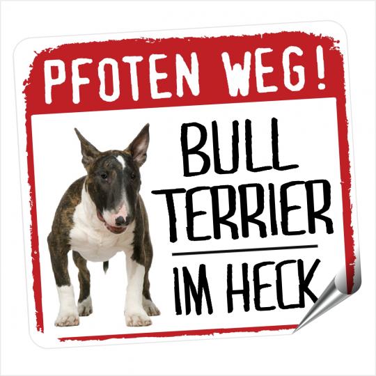 Bull Terrier PFOTEN WEG 