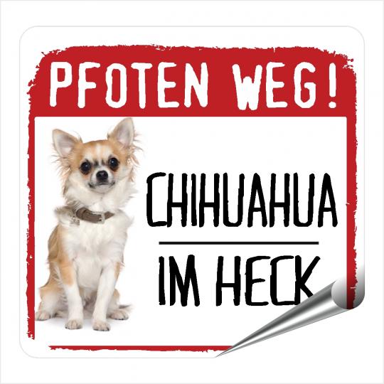 Chihuahua PFOTEN WEG 