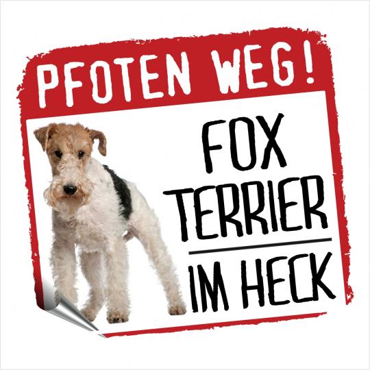 Fox Terrier PFOTEN WEG 