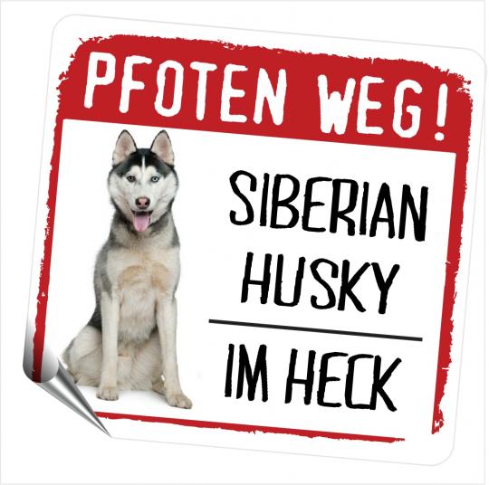 Siberian Husky 2 PFOTEN WEG 