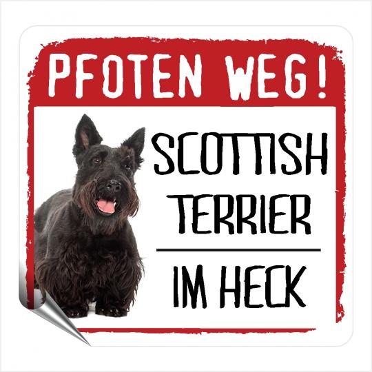 Scottish Terrier PFOTEN WEG 