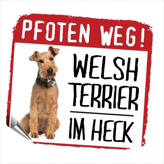 Welsh Terrier PFOTEN WEG 